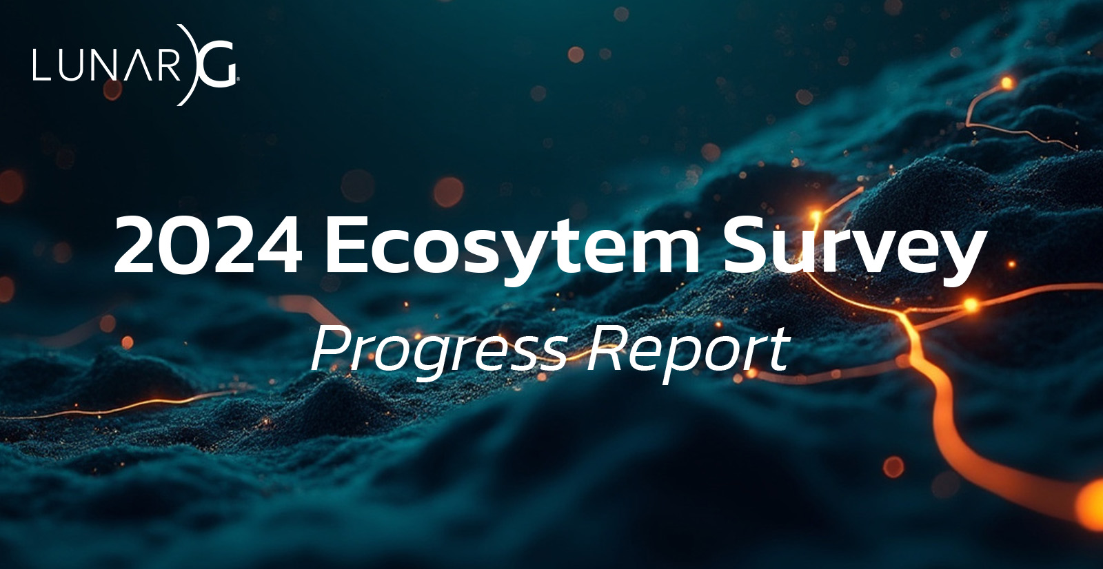 2024 Ecosystem Survey - Progress Report